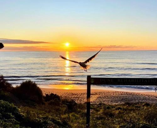 Falcon Casa | Falcon Bay Family Retreat