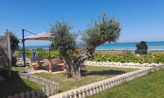 Pineto Casa | Falipè