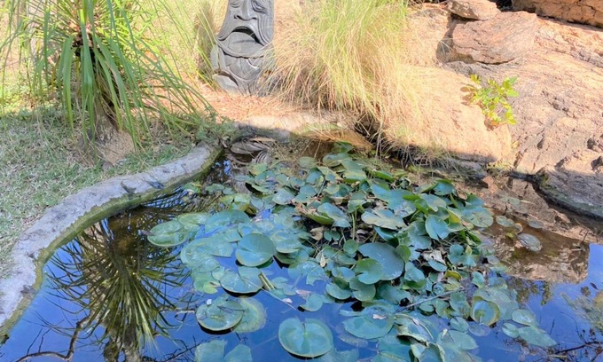 Bulawayo Apartamento | Family Lodge in Natural African Bush - 2115