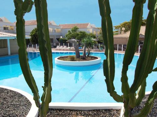 San Miguel de Abona Villa | Fantastic 3 Bedroom Townhouse Golf Del Sur - The Palms Resort