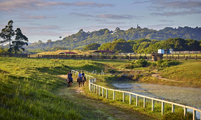 Kuranda Cabina | Farm Stay! Fun activities for the whole family-35 minutes from Cairns CBD