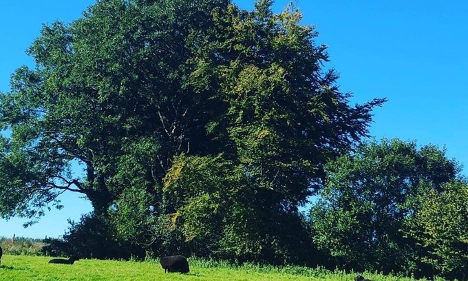 Ilfracombe Cabaña | Anexo de la granja - recientemente renovado a un alto nivel en el borde de Exmoor