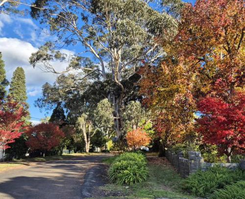 Bowral Apartamento | Fenway Cottage