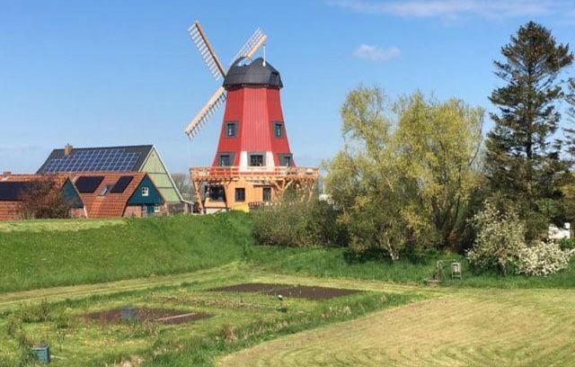 Beidenfleth Casa | Ferienhaus Mühle "Neue Hoffnung"