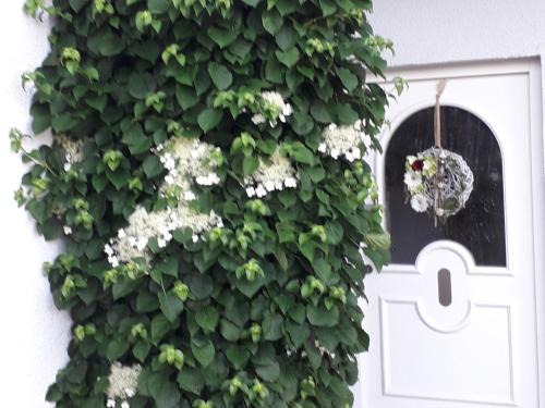 Unterschneidheim Apartamento | Ferienwohnung Gogelhopf EG