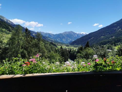 Virgen Apartamento | Ferienwohnung Mühlburger