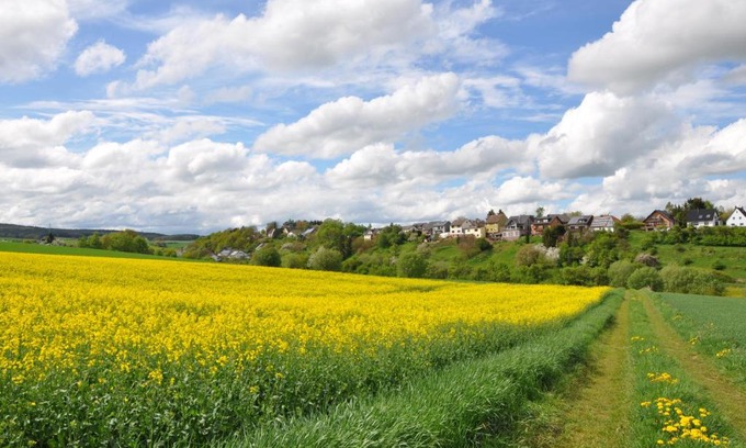 Mechernich Apartamento | Ferienwohnung Roter Kater am Nationalpark Eifel