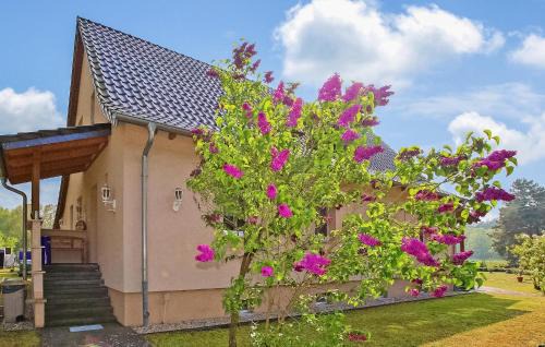 Torgelow-Hollanderei Apartamento | Ferienwohnung Torgelow