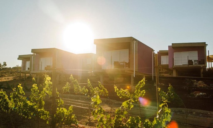 Valle de Guadalupe Cabina | Flor de Cera