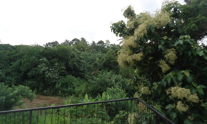 Anuradhapura Casa | Flower Seven Hotel