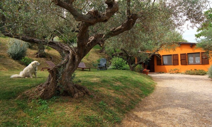 Montefino Casa | Fonte Pecorale "la Stalla" "Oasis de descanso y relajación" y piscina climatizada