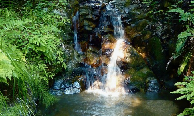 Carmel Cabaña | Forest Cottage in Big Sur w/Private Hiking & Hot Tub