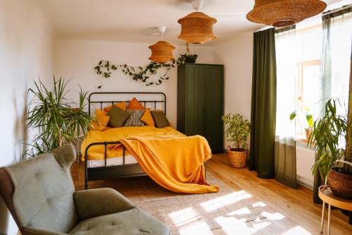 Tukums Apartamento | Four Seasons Apartments