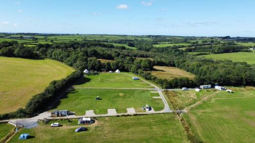 Hollacombe Otro | Foxglove