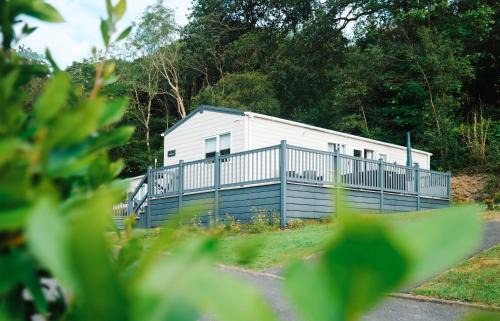 New Quay Chalet De Esquí | Foxglove Lodge