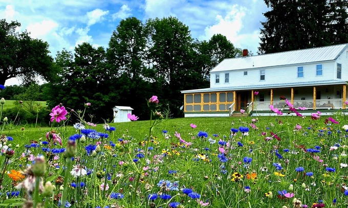 Fishs Eddy Casa | FRENCH WOODS FARMHOUSE | TimeOut NY's Pick in Hancock