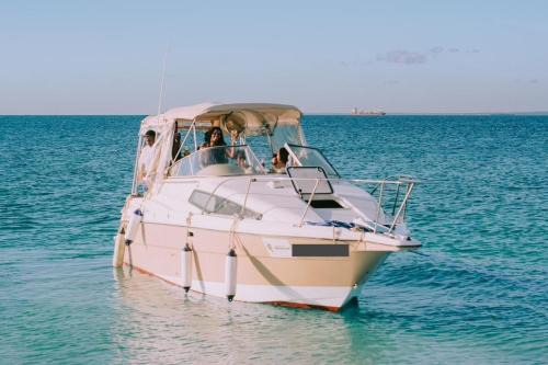 Masaki Alquiler De Eote | Full Day Cruise Mbudya