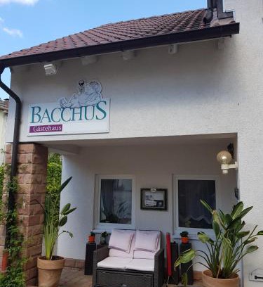 Wachenheim an der Weinstrasse Casa | Gästehaus Bacchus