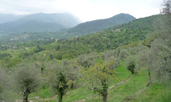 Sospel Casa | Gîte l'Oliveraie n ° 2