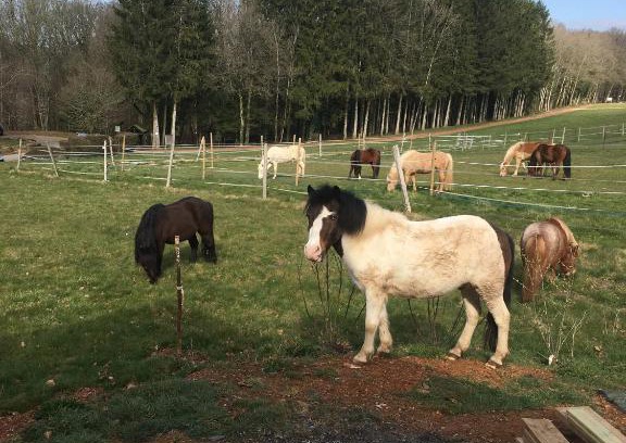 Givonne Casa | Gîte Le clos du bannet