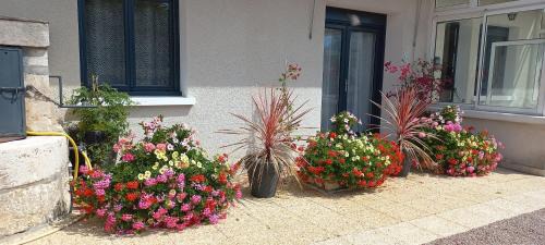 Boulleret Casa | Gîte les Hortensias