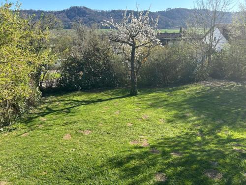 Singen Apartamento | Garten Wohnung