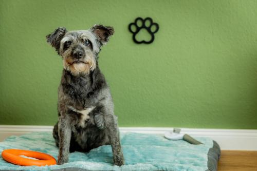 Horumersiel Apartamento | Gasthaus Deichkieker - Wo die Nordsee dich umarmt und Erholung beginnt