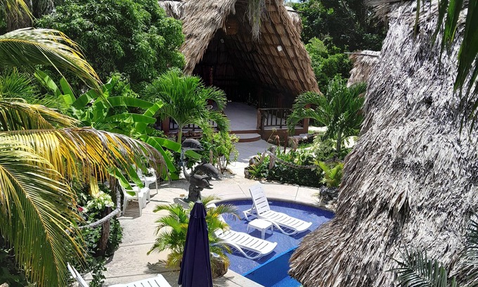Ladyville Complejo | GECKO "LOFT" BUNGALOW Boutique Resort, Awesome Pool! FREE Int'l Airport Shuttle