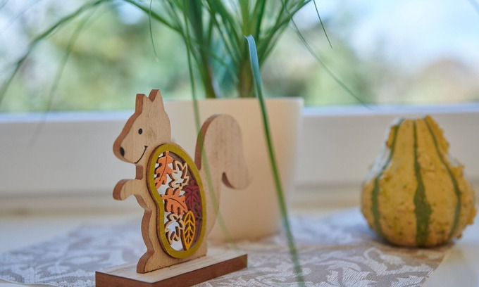 Riesa Apartamento | Gemütliche Ferienwohnung in Ländlicher Lage