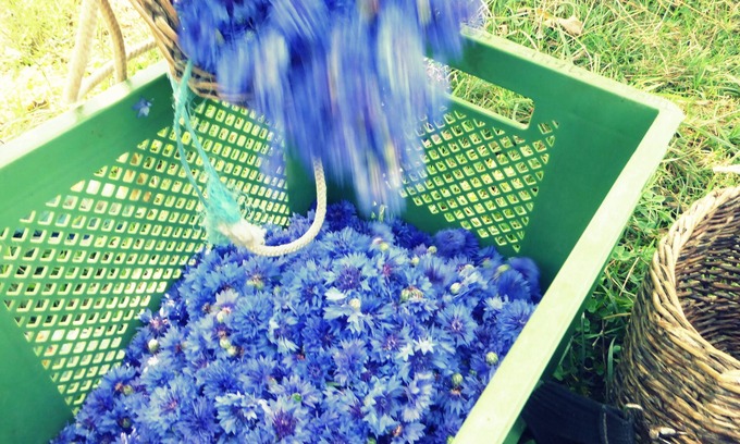 Saint-Maur Apartamento | Gîte de l'herbier, en el corazón de las plantas