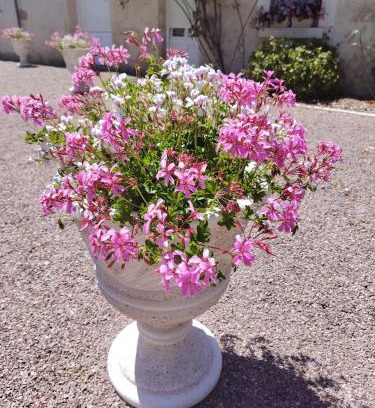 Fredille Casa | Gite La Nobleterie - 4 personnes Zoo de Beauval 35min