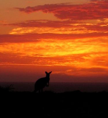 Macleod Complejo | Gnaraloo Station - Homestead