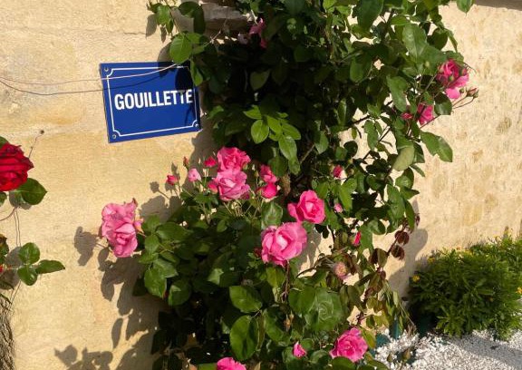 Saint-Pey-de-Castets Casa | Gouillette