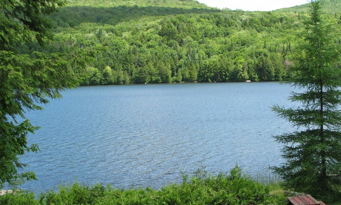 Newark Cabina | Gran tiempo a solas! Waterfront Cabin - Bien comportados perros Bienvenido. ¡Ve a Lakeside!