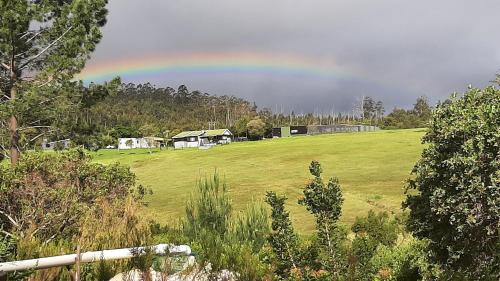 Knysna Apartamento | Green room