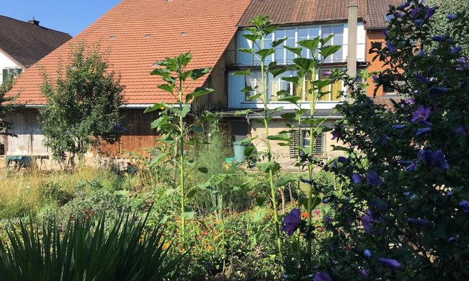 Hallau Apartamento | Grosszügiges Bauernhaus für Familie und Freunde