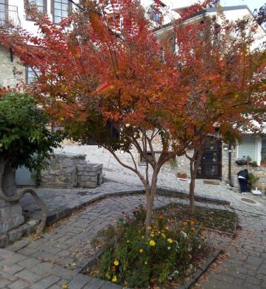 Varosh Apartamento | Guest Room at Number Nine