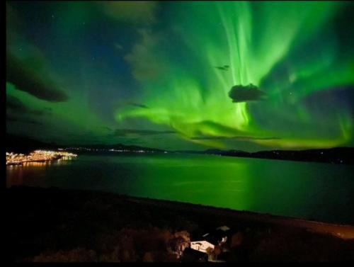 Narvik Apartamento | Høy standard. Mye for pengene. Gratis velkomstgave