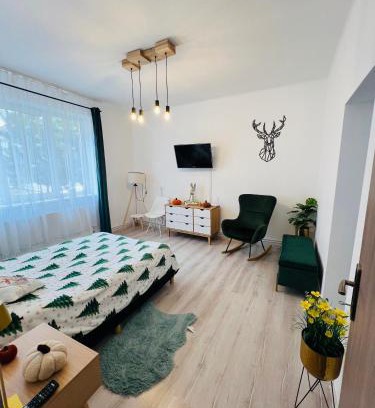 Balan Apartamento | Hășmaș Peak Escape