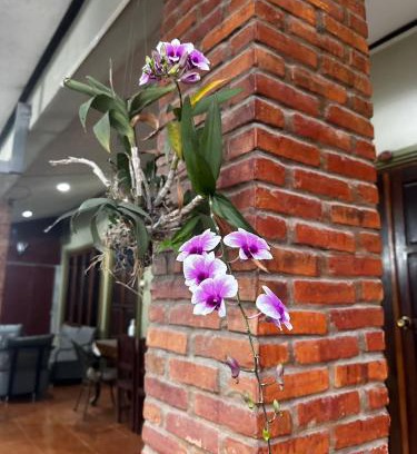 Vang Vieng Casa | Happy Hotel