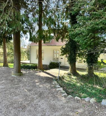 Stenstrup Chalet De Esquí | Havehuset er en oase i skoven - Få hele huset for jer selv!