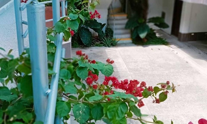 Palmira Hotel | HIDALGO HOTEL