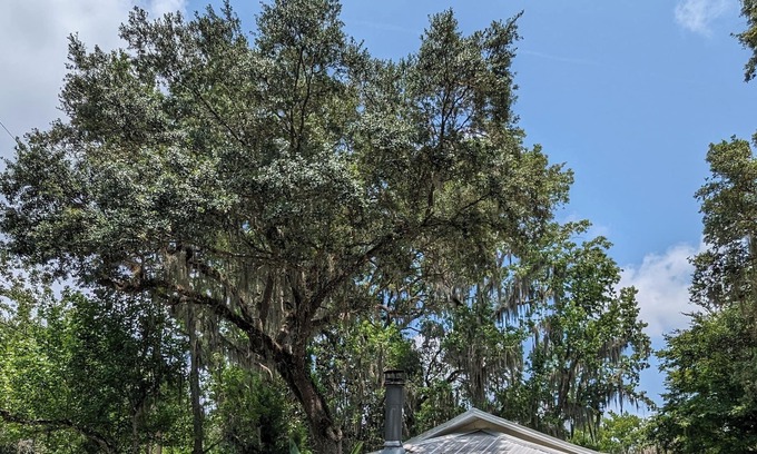 Homosassa Cabaña | Historic Cottage minutes from the Homosassa River, Wildlife Park! Pet-friendly