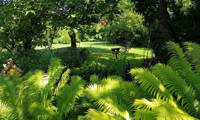 Achmuhle Apartamento | Estudio de vacaciones con vistas a la montaña en 5-Seen-Land
