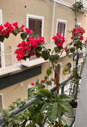 Sant'Agata di Militello Apartamento | Home Sicilia