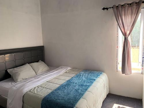 Dieng Casa | Homestay Rizkia Dieng