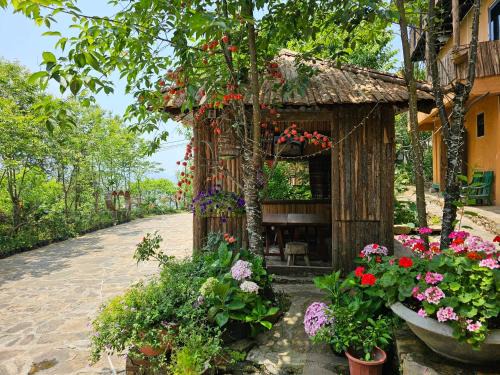 Bat Xat Cabina | homestay y tý đại ngàn - lào cai