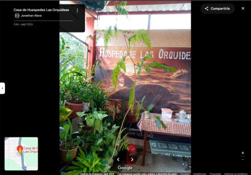 Tarapoa Apartamento | Hostal las orquideas