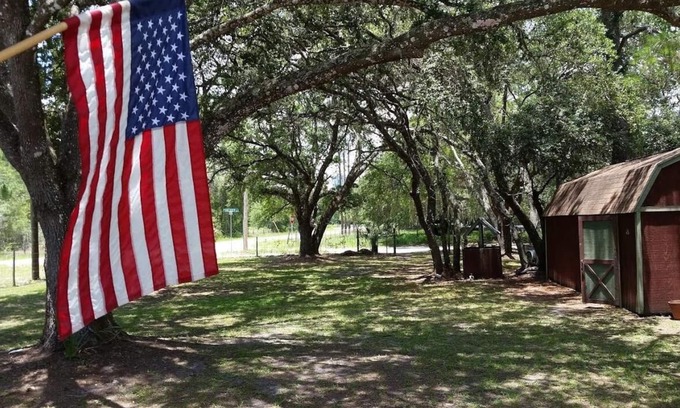 Hernando Cabaña | Las mejores vacaciones relajantes, La Fish Camp Lodge, el destino de sus sueños.