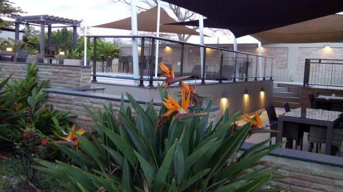 Kone Hotel | Hotel Colibri